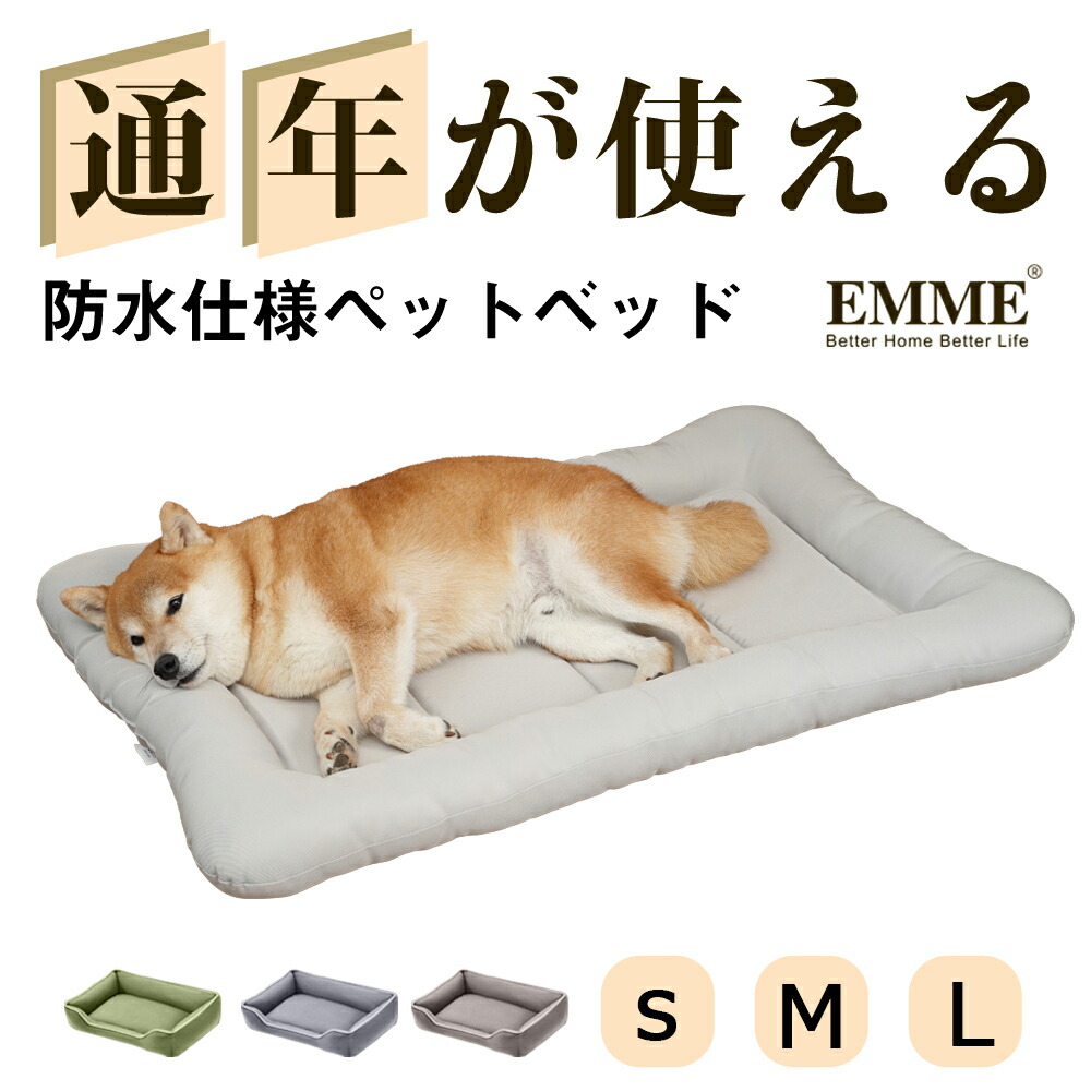 EMME emme