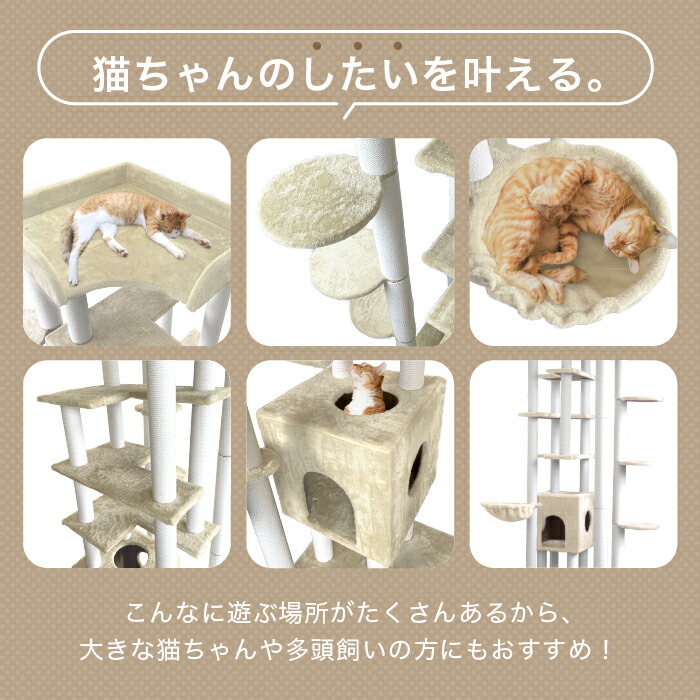 男女兼用 キャットタワー Pecola 高さ198cm 猫タワー キャット タワー ツリー 猫 Cat 猫用品 爪とぎ ペット 多頭飼い 頑丈 据え置き 落下防止柵 大型 ハンモック キャットハウス ねこ にゃんこ おしゃれ 安心設計 低ホルム Fucoa Cl 男女兼用 キャットタワー Pecola 高さ198cm 猫タワー キャット タワー ツリー 猫 Cat 猫用品 爪とぎ ペット 多頭飼い 頑丈 据え置き 落下防止柵 大型 ハンモック キャットハウス ねこ にゃんこ おしゃれ 安心設計 低ホルム Fucoa Cl