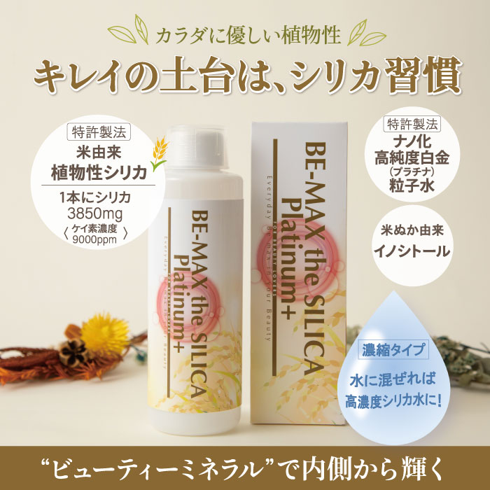 BE MAX THE SPA 36袋　3箱分　新品未使用 BE MAX THE SPA 36袋 3箱分 新品未使用 BE-MAX the SPA（ザ