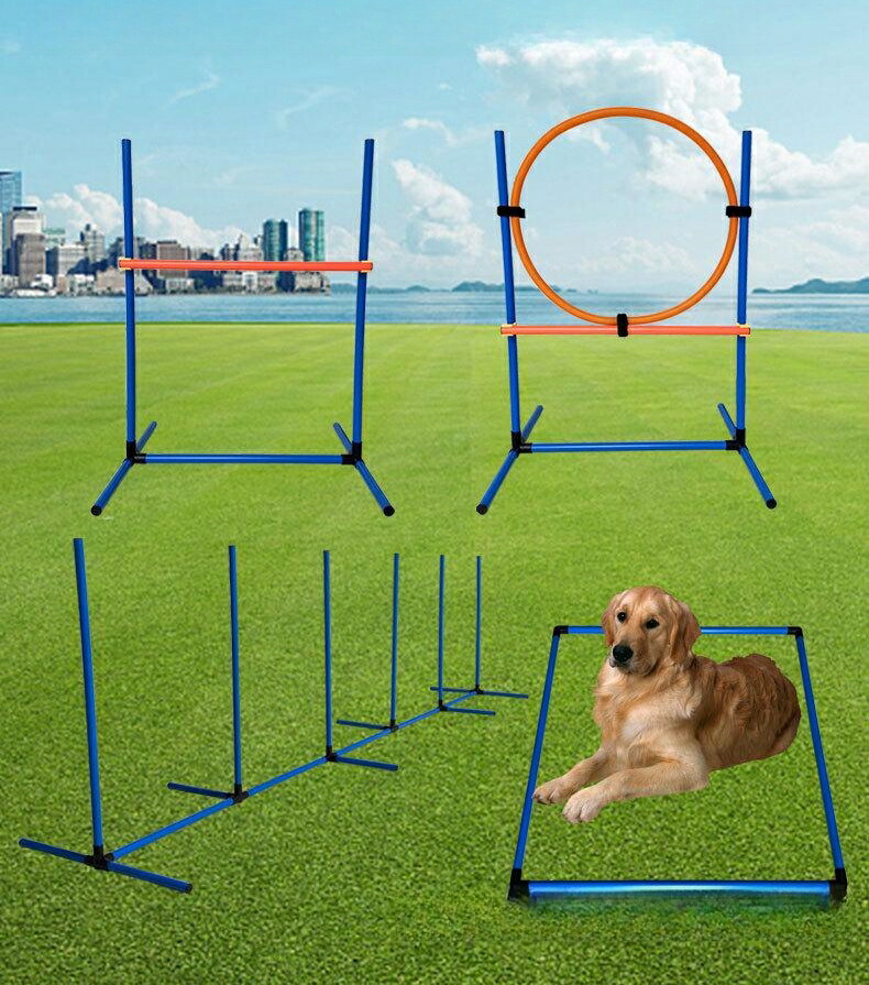 ドッグアジリティ 犬 アジリティ 犬用遊び道具 スラローム ハードル ジャンプバー 差しつかえ物 精神的な統合式 室内 引きくらべる 読み合わせる 愛玩動物 犬備品 運動すること物の具 犬 しつけ 納める御徒面子付き添い人