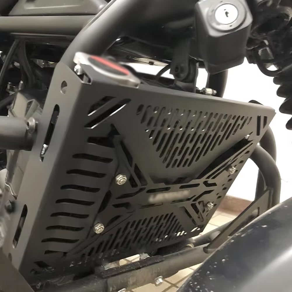 FOR CL250 cl250 2024 2023 ラジエーターグリル保護カバー 水タンク保護ネット保護カバー ラジエーターカバー保護グリル ラジエーターカバー (レッド) [並行輸入品]