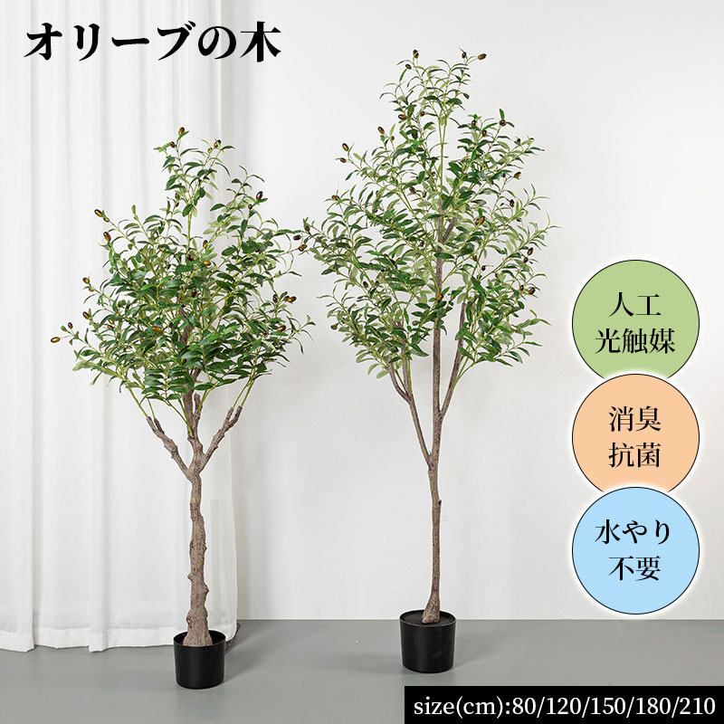 オリーブの木 観葉草木 80/120/150/180/210珊 人工 光触媒 消臭 抗菌 水やり不必要 実際的な葉  オリーブ フェイクグリーン 室内装飾緑であること 愛くるしい リビング 部屋の入り口 人工観葉草木 消臭 人工草木 格好のいい 造花 抗菌 花・観葉植物-観葉植物
