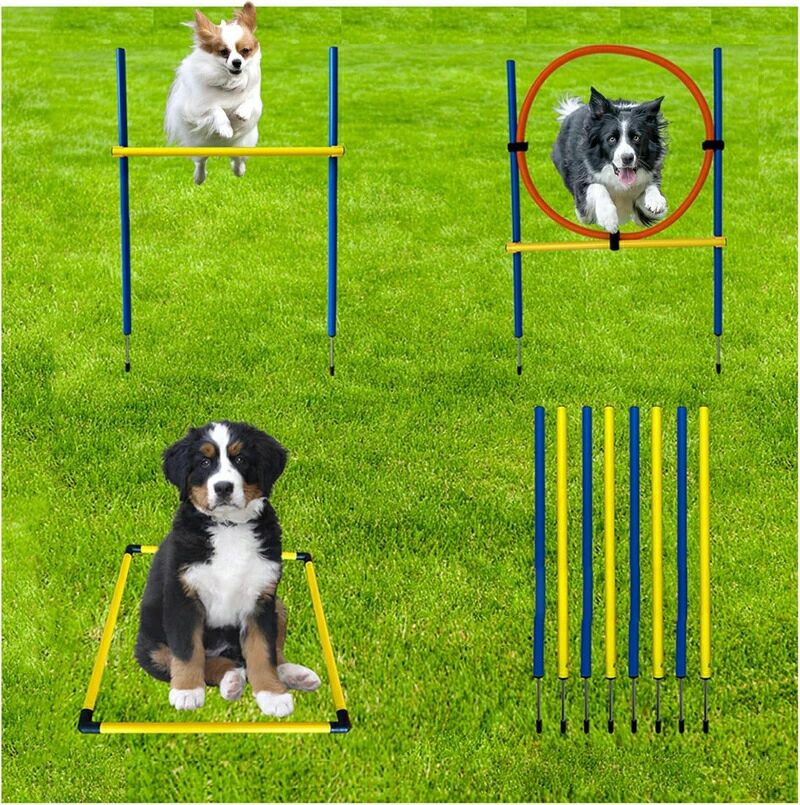 ドッグアジリティ 差しつかえ物 犬の素早しこい性 形づくる 運動すること物の具 書き割り ジャンプバー スラローム ハードル ジャンピングリング 納める