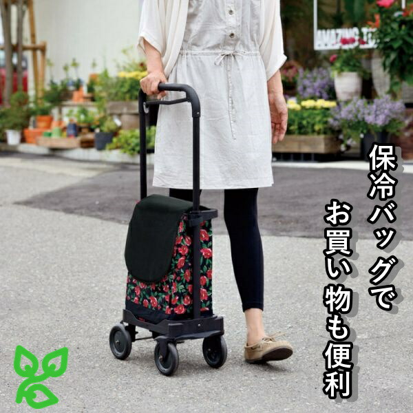 リッチェル ショッピングカート 説明書付き | chicshabu.com