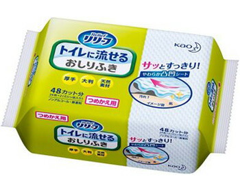 おしりふき 居敷き お尻拭き リリーフ 幼児用便器に流せるおしりふき つめかえ用（31×24.5糎） 24枚×24個入り口・入口 740588 名取り草 │ 排泄物取り計らう おしり拭き おしりふき居敷き 老いらく者 介護 排泄物御手伝い 幼児用便器グッズ 朦朦たる 大判 ミシンメ入り口・入口 無芳ばしさ ノン気違い水 お高齢者 高齢者 年がしら