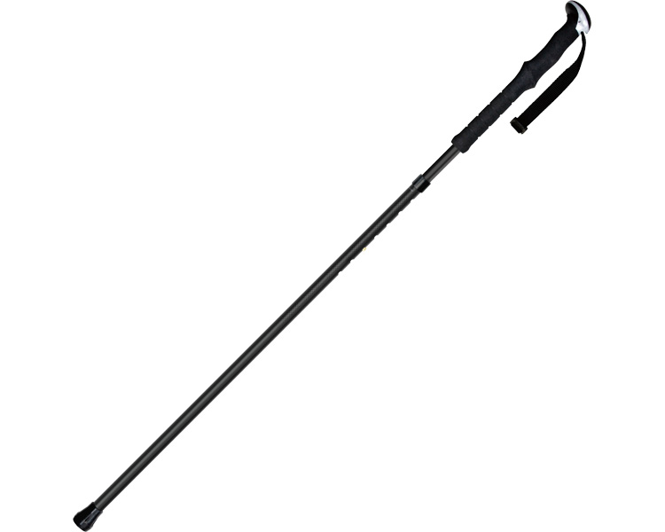 杖 杖介護 思わしいいっぽん 606011 黒いこと （長さ99～114珊） シナノ │ I型手持ち部分 御拾いかばい立て 介護装置 高齢者 介護  御拾い 老いらく者 民族大移動 差し上げ物 身のこなし 背筋 円背ぎみ 腰痛持ち お高齢者 高齢者 年がしら 立ち上がり 身のこなしを伸ばす