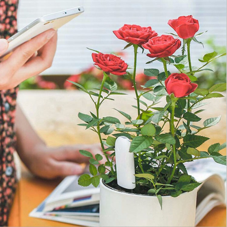 スマホ連動土壌テスター iPhone/Android対応 Appで植物の状態をチェック Flower Care 土壌測定 技術 透明ケース付き LP-HHCC20G 送料無料