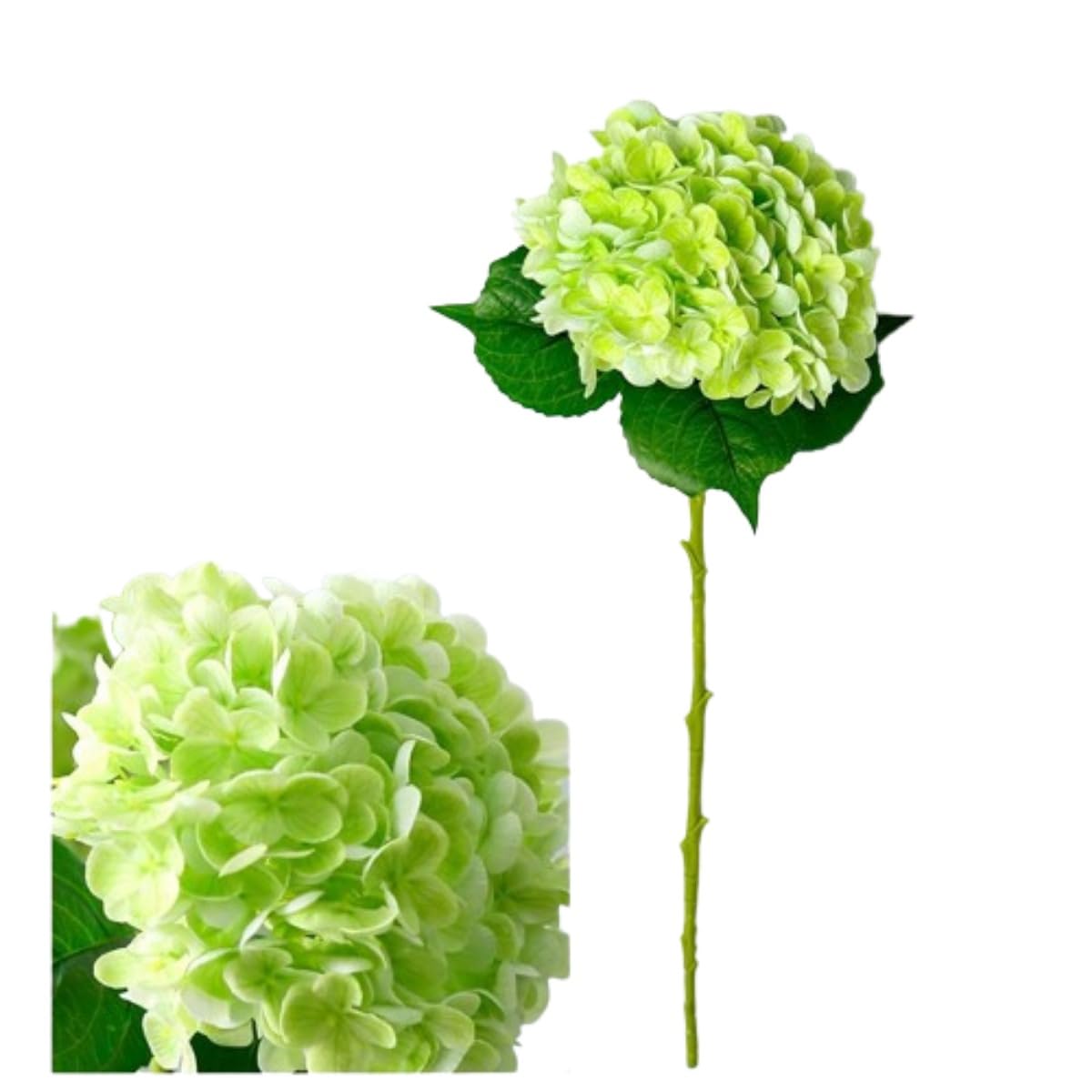 本物そっくりの人工紫陽花 大型 リアルタッチフラワー 造花 素っ気ない御花 アウトドア 御芽出度 クリスマス 執務室 身寄り 寄りあい リビングお部屋 一覧表飾りつけ 2点 (ライトグリーン,花2個)