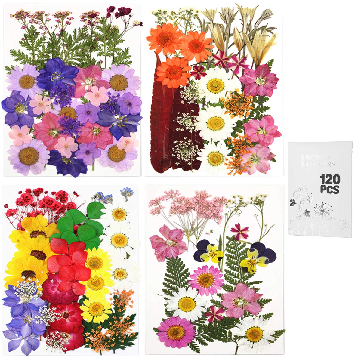 本物の乾燥押し花 花びら クラフト用 カラフルな押し花 デイジー キャンドルジュエリー用 ネイルペンダントクラフト 樹脂アートフローラルデコレーション用ドライフラワー (120)