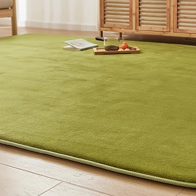 カーペット ラグ 極厚25mm 約3畳 厚手 ラグマット 防音 滑り止め付 抗菌 防臭 防ダニ 低ホルム ふわっと手触り高反発 床暖房ホットカーペット対応 冬用 北欧 おしゃれ こたつ敷きマット 200×250cm グリーン|LIFE QUEST