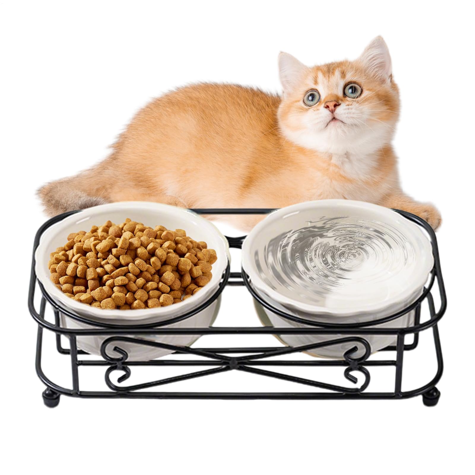 室内猫用どんぶり鉢,照明ランプ付き添い人フィーダー - セラミックペットボウルセット | 小型犬・犬ころ・子ネコ用旅する・室外用愛玩動物滋養物供給備品