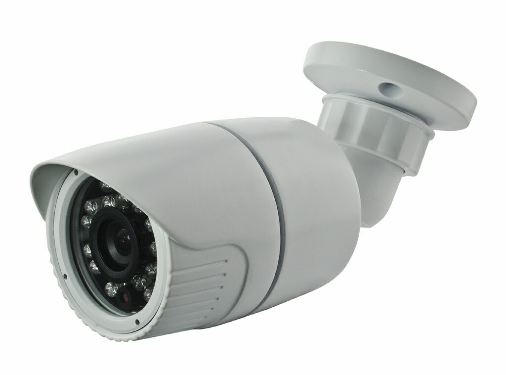 全天候型暗視カメラ エクステリア Night eye カラー NS-10IRC Amazon.co.jp: NSK 全天候型暗視カメラ 【エクステリア Night