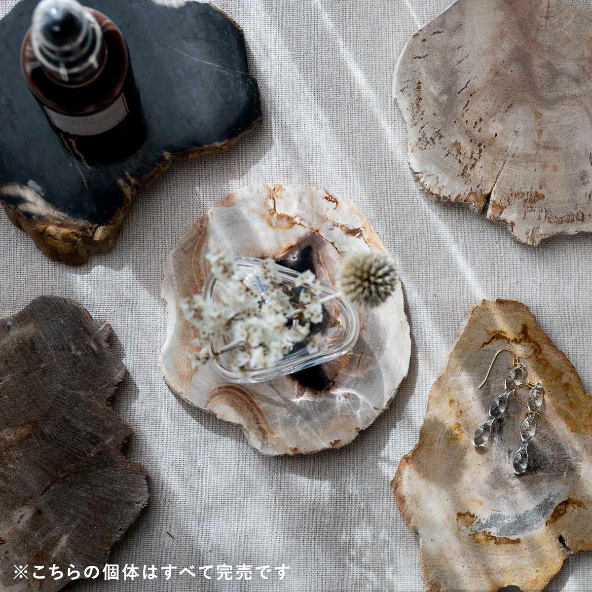 楽天市場】《クーポンプレゼント》【個体で選べる】 amabro WOOD