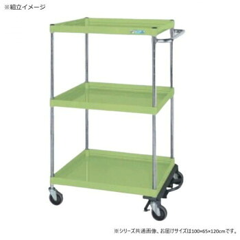 サカエ CSパールワゴン中量タイプ フットブレーキ付 グリーン CSP-10123BRSE【送料無料】