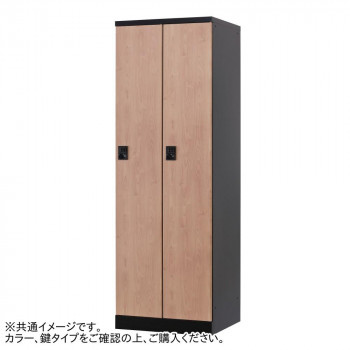 豊國工業 オール扉タイプ2人用 W600(ダイヤル錠) RLK-TTD260-BNT【送料無料】