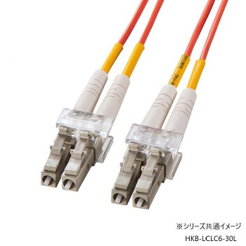 ＼今だけ！エントリーで尖んがり5倍／サンワサプライ 眼鏡型光衣料繊維有線テレビ マルチ62.5μm LC×2-LC×2 30m HKB-LCLC6-30L【貨物輸送無料】