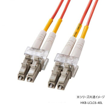 ＼今だけ！エントリーで尖んがり5倍／サンワサプライ 眼鏡型光衣料繊維有線テレビ マルチ62.5μm LC×2-LC×2 40m HKB-LCLC6-40L【貨物輸送無料】