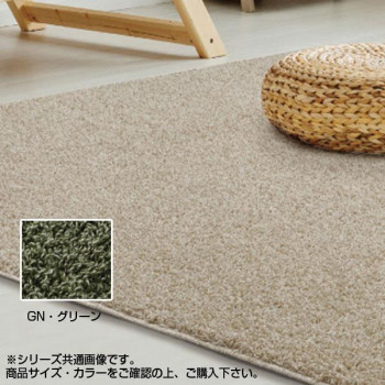 ＼今だけ！エントリーで尖んがり5倍／アスワン PTT衣料繊維引っ敷き バルゴ 190×190珊 GN・緑であること CA617235【貨物輸送無料】