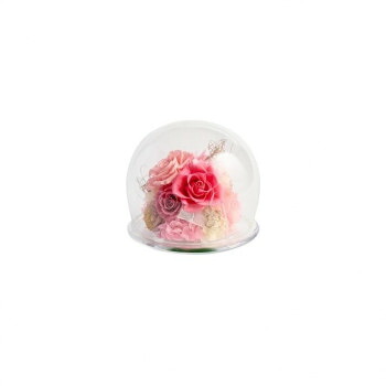 フラワーアレンジ ROSA ローザ PK F-6185【送料無料】
