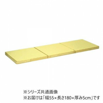 高田ベッド製作所 ポータルマット(三つ折り式ポータブルマット) 幅55×長さ180×厚み5cm アイボリー(バッグ/ブルー) TB-475【送料無料】 36,213円