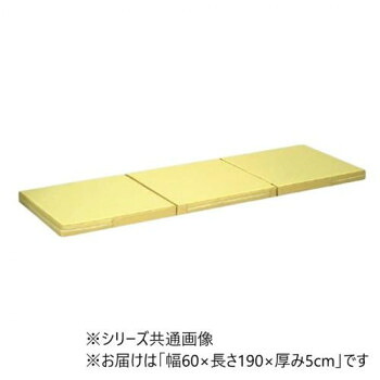 高田ベッド製作所 ポータルマット(三つ折り式ポータブルマット) 幅60×長さ190×厚み5cm アイボリー(バッグ/ブルー) TB-475【送料無料】