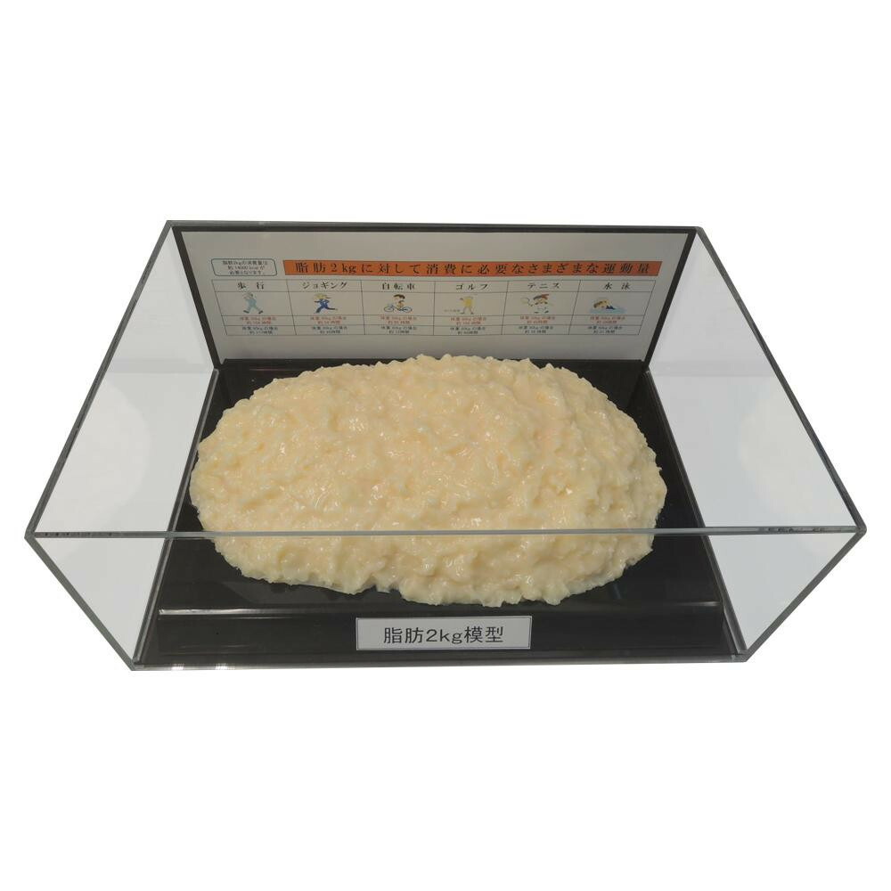＼今だけ！エントリーで尖んがり5倍／あぶら身ひな形図形容れもの入 2kg IP-979【貨物輸送無料】