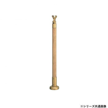 最短翌日お届け  【MIHI5Z3EE8V】 限定デザイン