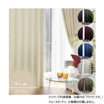 ＼今だけ！エントリーで尖んがり5倍／窓かけ アール 2P 100X200 BK 725858000200009【貨物輸送無料】