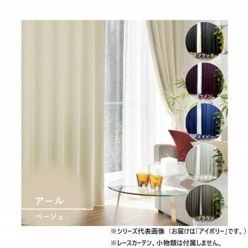 ＼今だけ！エントリーで尖んがり5倍／窓かけ アール 2P 100X200 IV 725858000200061【貨物輸送無料】