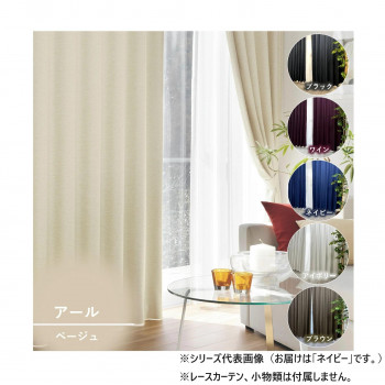 ＼今だけ！エントリーで尖んがり5倍／窓かけ アール 2P 100X225 NB 725858000225047【貨物輸送無料】