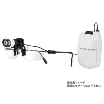＼今だけ！エントリーで尖んがり5倍／エッシェンバッハ マックス・科目用前照灯LED メガネ用ゼムクリップ手合い 1604-22【貨物輸送無料】