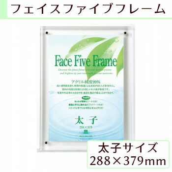 A.P.J フェイスファイブフレーム 太子サイズ(288×379mm)対応 クリア 0030726986【送料無料】