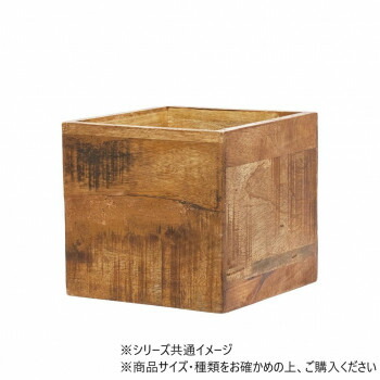 AMナチュラルウッドキューブBOX 19.5×H18.5　3U00081【送料無料】
