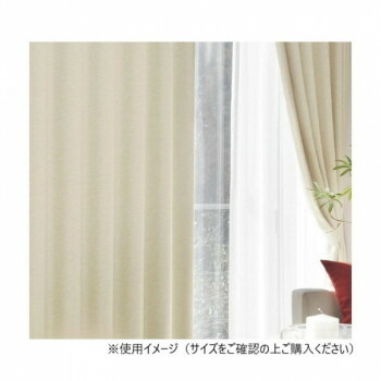 ＼今だけ！エントリーで尖んがり5倍／窓かけ アール 2P 100X200 BE 725858000200065【貨物輸送無料】
