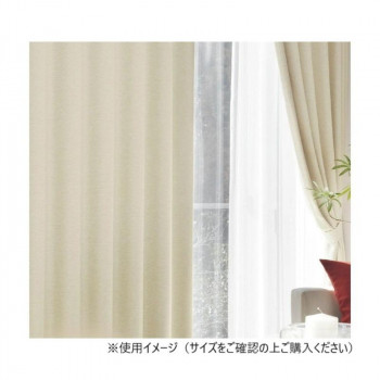 ＼今だけ！エントリーで尖んがり5倍／窓かけ アール 2P 100X225 BE 725858000225065【貨物輸送無料】