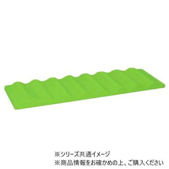 ＼今だけ！エントリーで尖んがり5倍／高田寝台製造所 ウォーク調教師(青竹式) (平衡にする・御拾い読み合わせる形づくる引っ敷き) 幅48×奥ふかさ100×高さ7珊 抹茶 結核症-1368【貨物輸送無料】