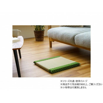 詩織 GN 40×40cm 1122950127301【送料無料】