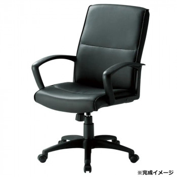 ＼今だけ！エントリーで尖んがり5倍！／ 藤沢製作(TOKIO) 支配人女性議長 FTX-3L 黒いこと【貨物輸送無料】