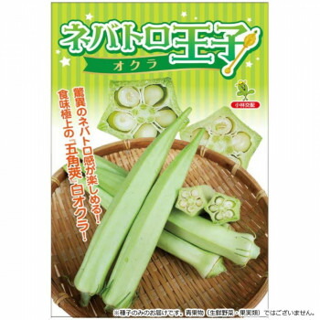 小林種苗 オクラ種子 ネバトロ王子 白オクラ 五角オクラ　6836　1L【送料無料】