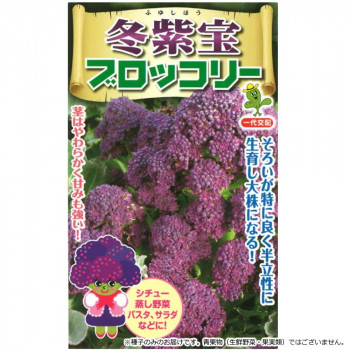 小林種苗 ブロッコリー種子 冬紫宝(ふゆしほう) 7221 1000粒【送料無料】