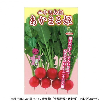 ＼今だけ！エントリーでポイント5倍！／ 小林種苗 ハツカダイコン種子 あかまる姫　7240　1dl【送料無料】｜LifeUp