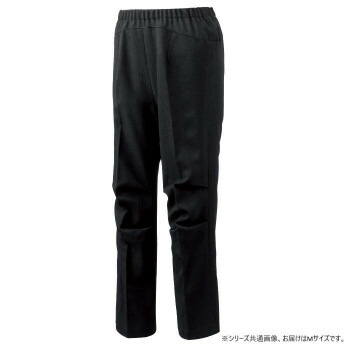 ケアファッション 座・ビューティフォーパンツ(婦人) ブラック M 82000111【送料無料】