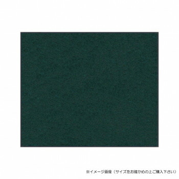 (クリーンテックス) スタンダードマットS ダーク・グリーン 75×120 cm【送料無料】