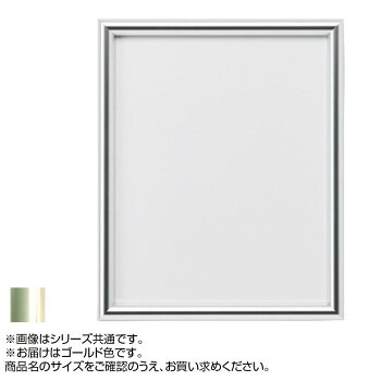 アルナ アルミフレーム デッサン額 IC ゴールド 450角・2277【送料無料】