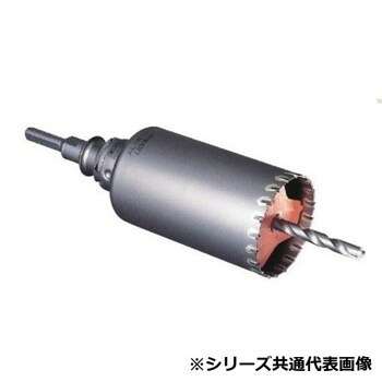 ＼今だけ！エントリーで尖んがり5倍！／ 選りわける ALC用中核グループせん孔機SDSシャンク 38 SE47276【貨物輸送無料】
