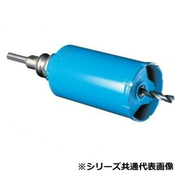 ＼今だけ！エントリーで尖んがり5倍／より分ける ガルバウッドコアSDSシャンク 160 SE47497【貨物輸送無料】