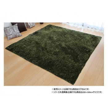 ソフトシャギー調ラグ 「ラルジュ」 4畳 グリーン 約200×300cm 1280200121403【送料無料】