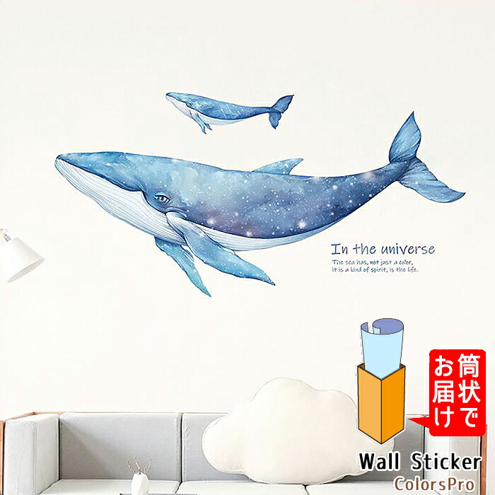 楽天市場 ウォールステッカー くじら 鯨 海 海中 泳ぐ 夏 はがせる 壁飾り カフェ インテリアシール Wallsticker ウォールシール ウォールシート Diyインテリアのお店 Colorspro