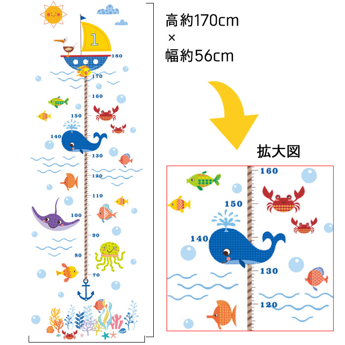 楽天市場 ウォールステッカー 身長計 ヨット 海 海洋生物 くじら エイ 夏 目盛り 壁飾り 子供 知育 保育園 幼稚園 男の子 女の子 インテリアシール Wallsticker ウォールシール ウォールシート Diyインテリアのお店 Colorspro