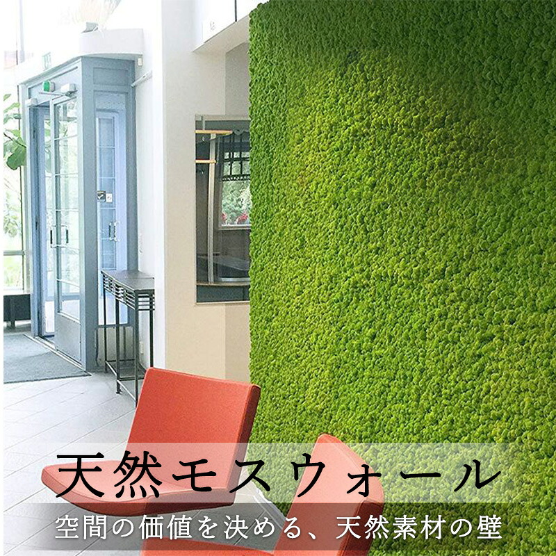 【10％OFF＋最大8%OFFクーポン】天然 モスウォール 壁面装飾 | 法人・店舗向け | 北欧 フォンランド レインディアモス 40×60cm 4枚set *壁面緑化 パネル* インテリアグリーン ウォールグリーン